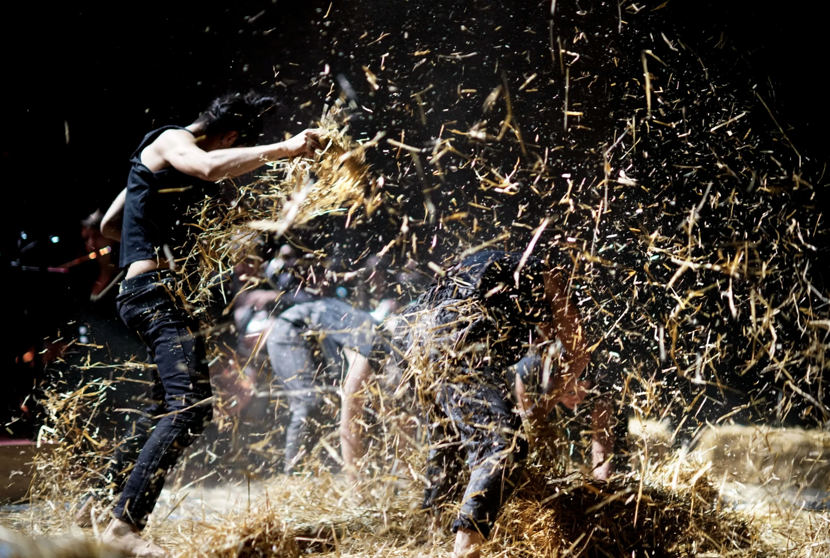 sacre humanum dance company